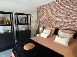 Logement Tout Confort 3 - Wifi - Parking