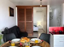 La Perle de Rivière Sens - Vue Mer, proche Plages