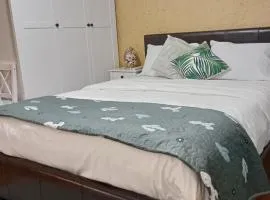 Comfy Private Room and Bathroom on the top floor of a Home Stay Ten Mins Walk to the Ctr, Two flights of stairs to climb