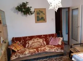 Wrota Puszczy