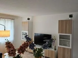 Tegerfelden Weinregion
