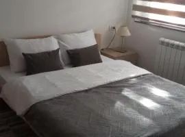 Ruža vetrova A3 dupleks