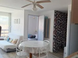 appartement T2bis idealement situé au bord du lac marin de Vieux Boucau