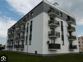 Kruszwica Wspólna 3
