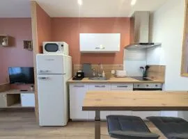 Studio calme centre-ville Châteauroux avec parking - FR-1-591-725