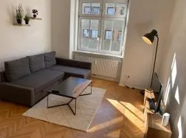 Apartment, close to the town hall, city centre and Raiffeisen Sportpark