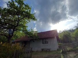 Bistro VILLAGE HOUSE, hotel v destinaci Prijepolje