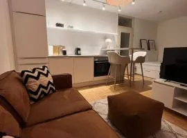 Modern Apartment - Am See