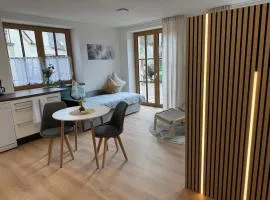 NÜ04 - Apartment für Firmen