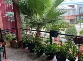 Guest House Kobuleti