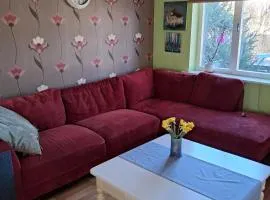 Homely and comfortable accommodation near the city center!