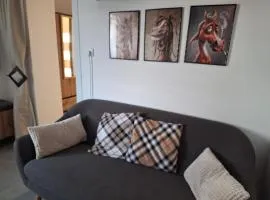Apartament Zaciszny Kącik