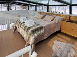 Levi Sky Igloo with private sauna and hot tub, hotel in Levi