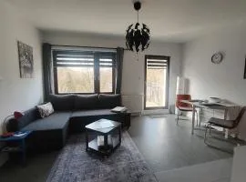 Haus Charlottenburg 1, zentrumsnah gelegen, mit Blick auf die Festung