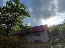 Bistro VILLAGE HOUSE