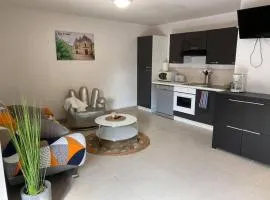 Appt familial avec terrasse et parking