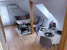 Rapla City Center Apartment, hotel que acepta mascotas en Rapla