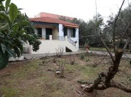 Babis Garden Salamina
