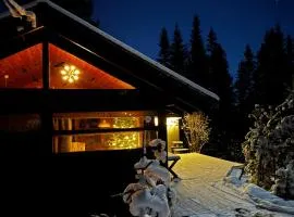 Ål-hytte i Snertingdal på solrik tomt med suveren beliggenhet