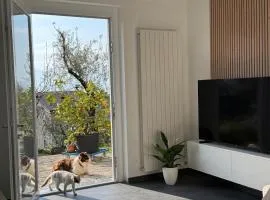 Casa Verenice
