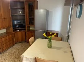 Casa Ari