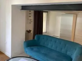 Logement avec alcôve et jardin proche du Château