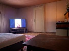 International Family Guesthouse, hotel v destinaci Schüpfheim