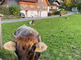 Willkommen im Rustico - Deinem Rückzugsort zwischen Bergen und Bodensee