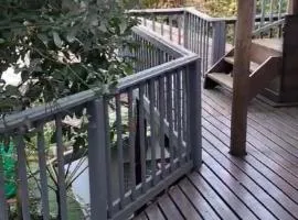 The Luxurious Cabin