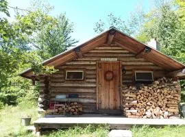 Colby's Cabin RUSTIC Off Grid Wilderness Retreat