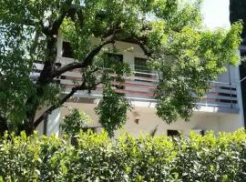 Apartments with parking space Biograd na Moru, Biograd - 24023