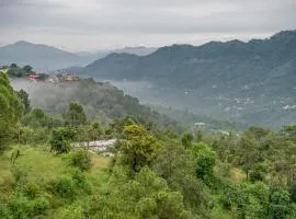 Exotic Stays I The Mountain Peak I Guaranteed Best Price I Vacations I Family Events I Pet friendly & Serviced Apts I Kasauli