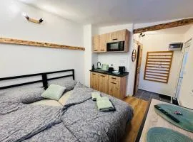 Apartmán v klidné části Benešova