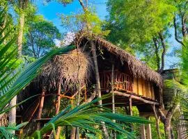 Green land tree house sigiriya