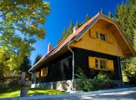Authentic Pohorje house with riverside outdoor sauna