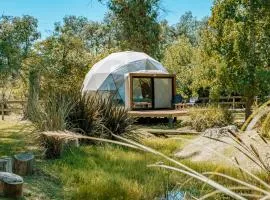 Don Aniceto Lodges & Glamping