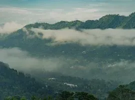 Exotic Stays I 1Bhk Apartment l Couple Friendly l Near Mall Road Kasauli
