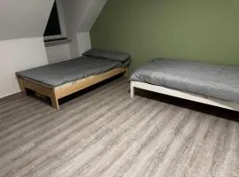 Nestor Home