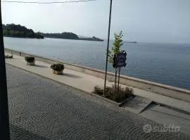The Lake View