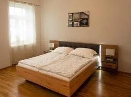 Luxury apartment near Vienna & SCS