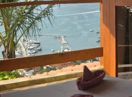 Suite Pássaros