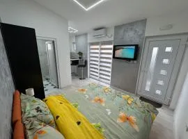 Mitić Apartmani 1