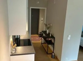 Modern apartment in Tønsberg right by the waterfront and city center
