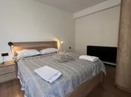 Nirvana Stayz Gudauri