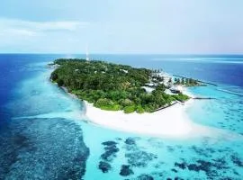 Ari Paradise