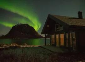 See Lofoten mountains midnight sun and nothern lights in Steigen