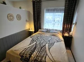 Lucy's Apartment