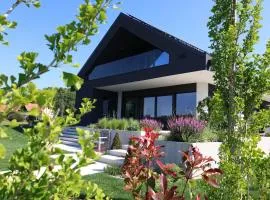 Smart & Wellness Villa