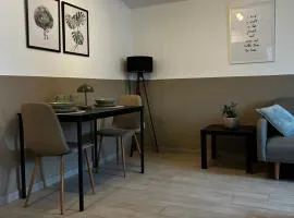 Ferienwohnung zentral in Bad Fredeburg