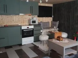 Apartment for rent just in front of the midnight sun staircase